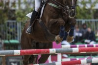 regno verde 275 narni_4_4_2015